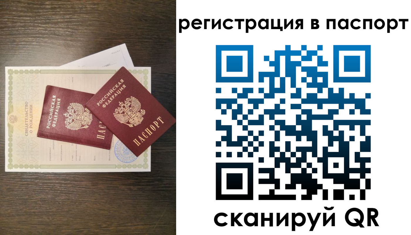 где прописаться в Дмитрове