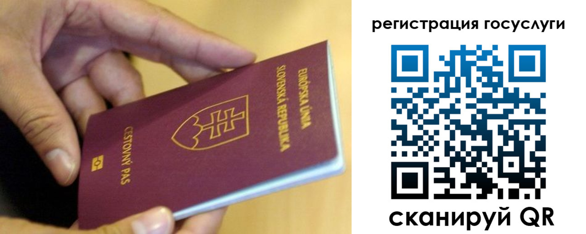 прописка в квартире в Дмитрове